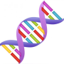 dna.png